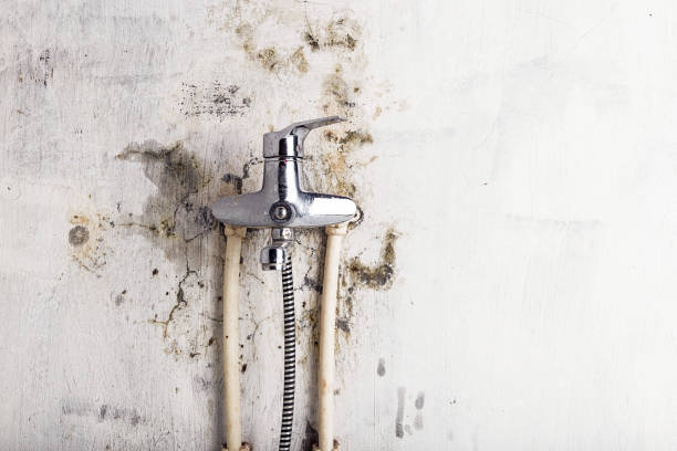 Best Water Damage Restoration  in Vauxhall, NJ
