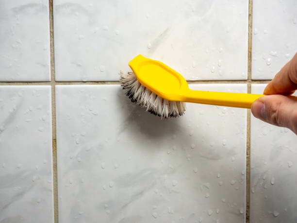 Best Office Mold Removal Services  in Vauxhall, NJ
