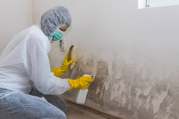 Best Residential Mold Removal  in Vauxhall, NJ