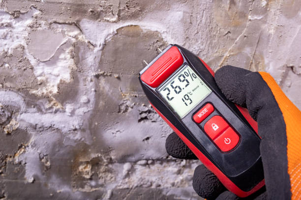 Best Professional Mold Removal  in Vauxhall, NJ