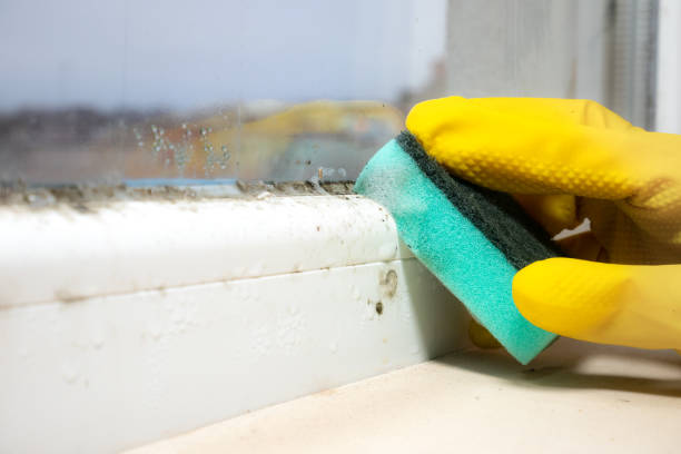 Best Residential Mold Removal  in Vauxhall, NJ